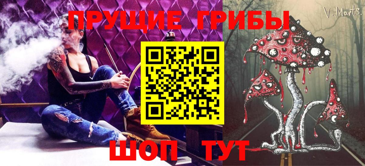 Ялуторовск  наркотики  Вход с VPN  Псилоцибиновые грибы MAGIC MUSHROOMS  Псилоцибиновые грибы Psilocybine cubensis 