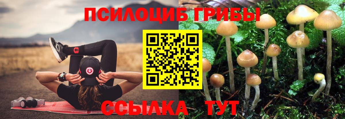 Псилоцибиновые грибы прущие грибы Ялуторовск