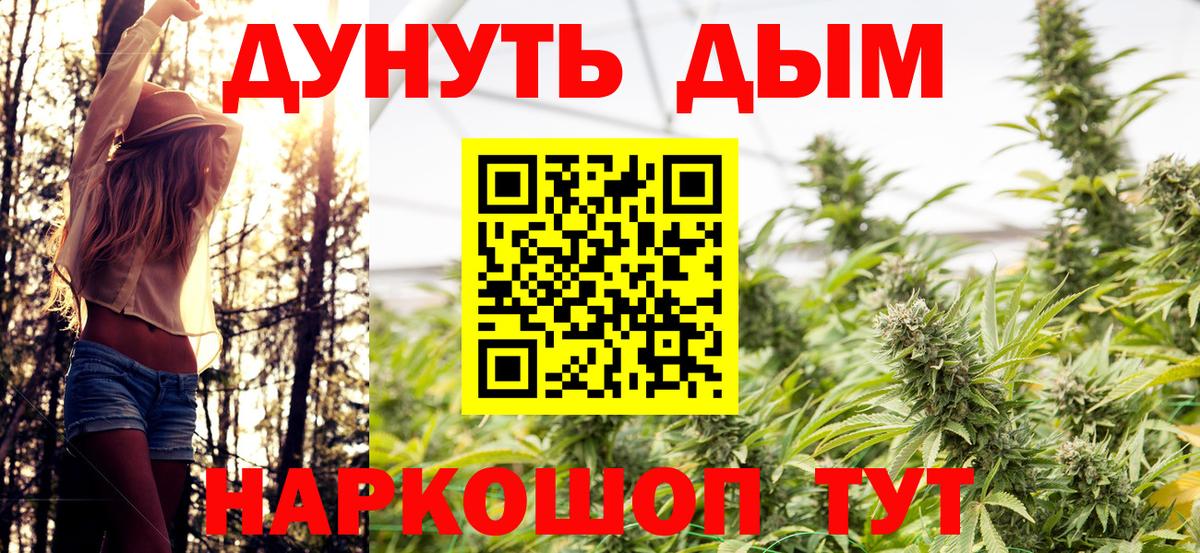 Каннабис планчик  Канабис SATIVA & INDICA  Вход с VPN  МАРИХУАНА ГИДРОПОН  Ялуторовск 